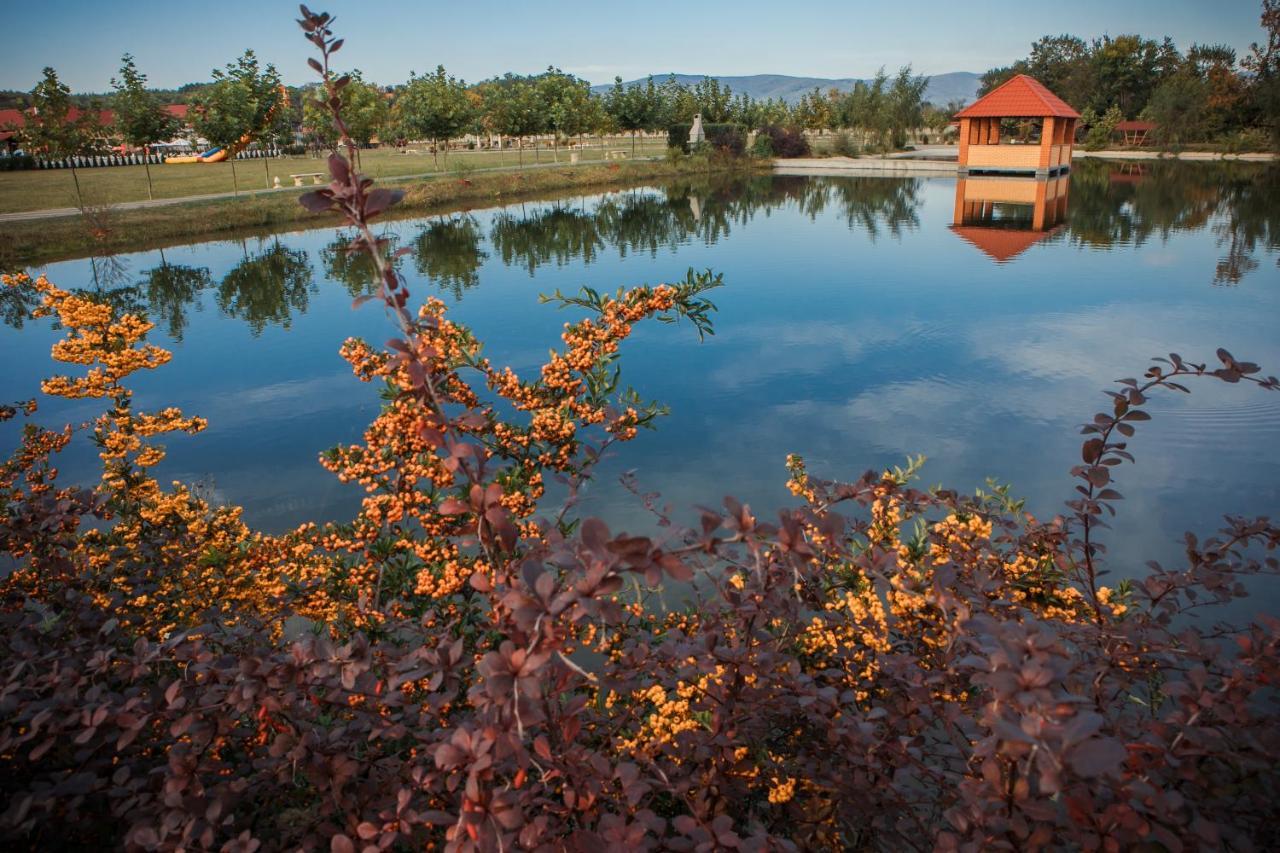 Illara Spa Hotel Irshava Esterno foto