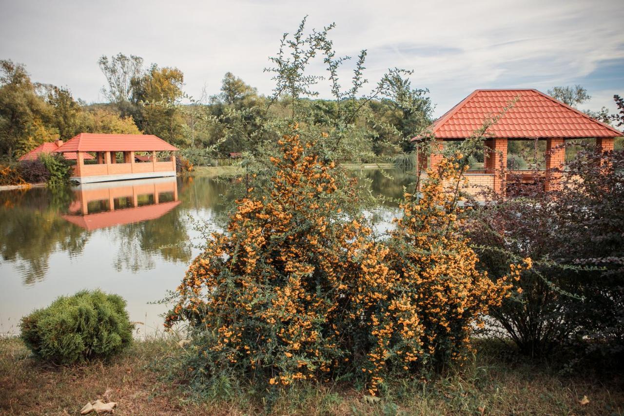 Illara Spa Hotel Irshava Esterno foto