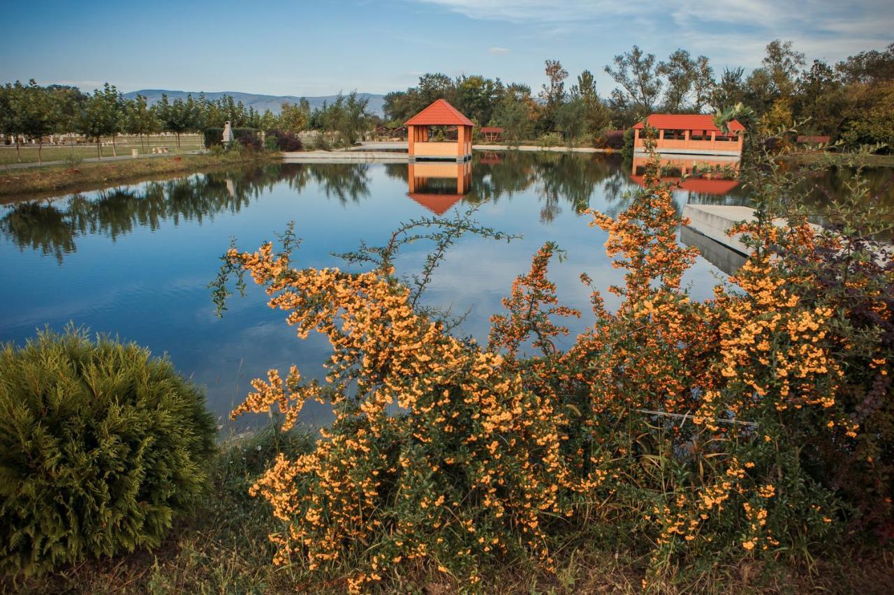Illara Spa Hotel Irshava Esterno foto